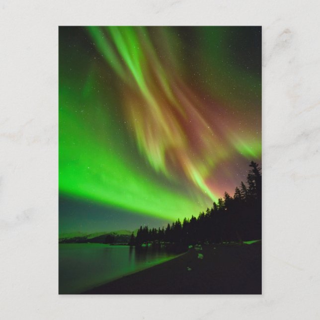 Cartão Postal Burgundy Aurora (Frente)