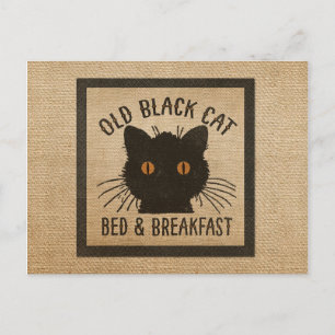 Cartão Postal Burlap Old Black Cat Bed Breed