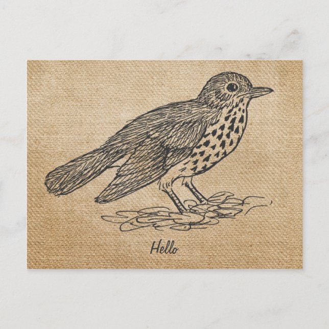 Cartão Postal Burlap Rustic Hello Little Pássaro (Frente)