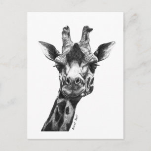 Cartão Postal Burney, a Girafa