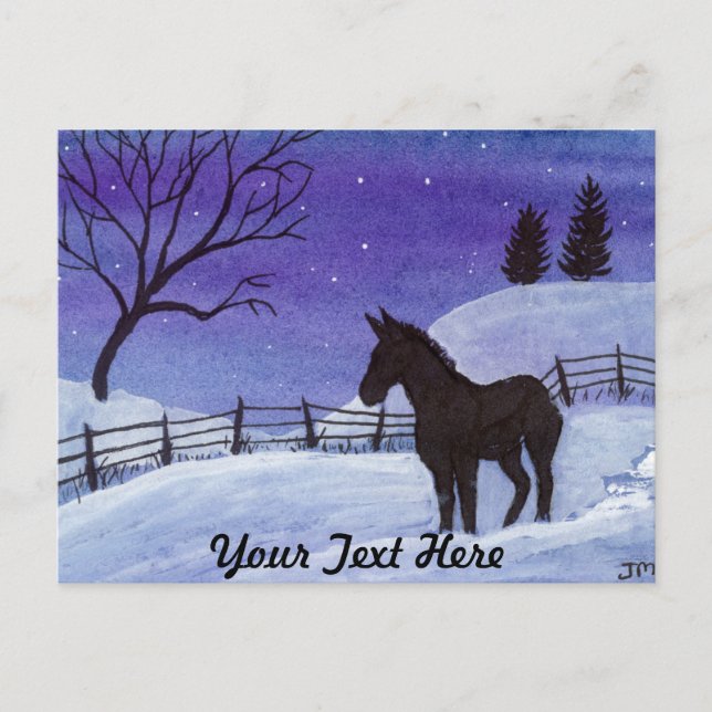 Cartão Postal Burro (Frente)