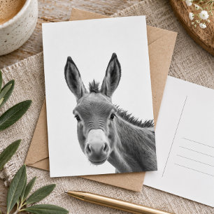 Cartão Postal Burro Safado Fofo Espiando