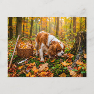 Cartão Postal Busca de cogumelos pelo Spaniel na floresta de out