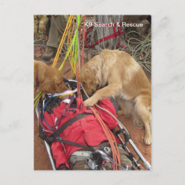 Cartão Postal Busca e salvamento do K9?