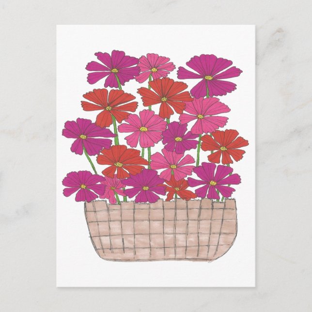 Cartão Postal Bushel do Cosmos Brilhante (Frente)