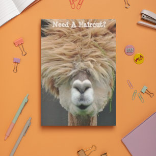 Cartão Postal Bushy Hair Brown Llama Hair Stylist