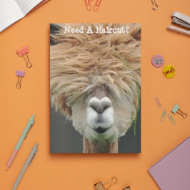 Cartão Postal Bushy Hair Brown Llama Hair Stylist