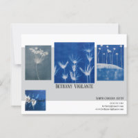 Business Mailer para Artistas