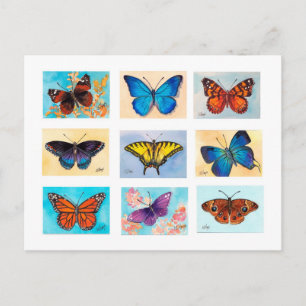 Cartão postal Butterfly Bonanza