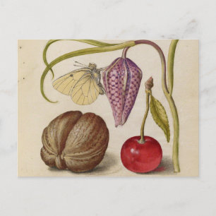 Cartão Postal Butterfly Flor e cereja Watercolor