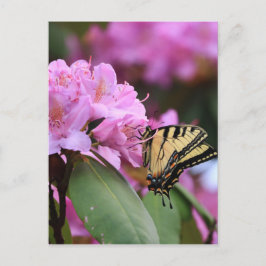 Cartão Postal Butterfly Paradise