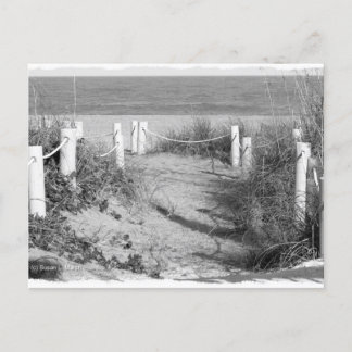 Cartão Postal BW Fort Pierce, duna de praia da Flórida saltou