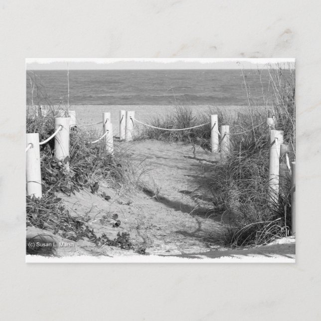 Cartão Postal BW Fort Pierce, duna de praia da Flórida saltou (Frente)