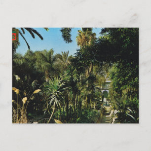 Cartão Postal C4marraquexe, jardins de Majorelle, Marrocos