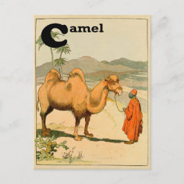 Cartão Postal C é para Camel - Alphabet Animal