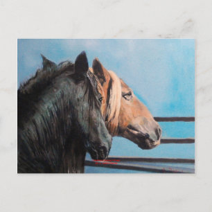 Cartão Postal Caballos/Cabalos/Cavalos
