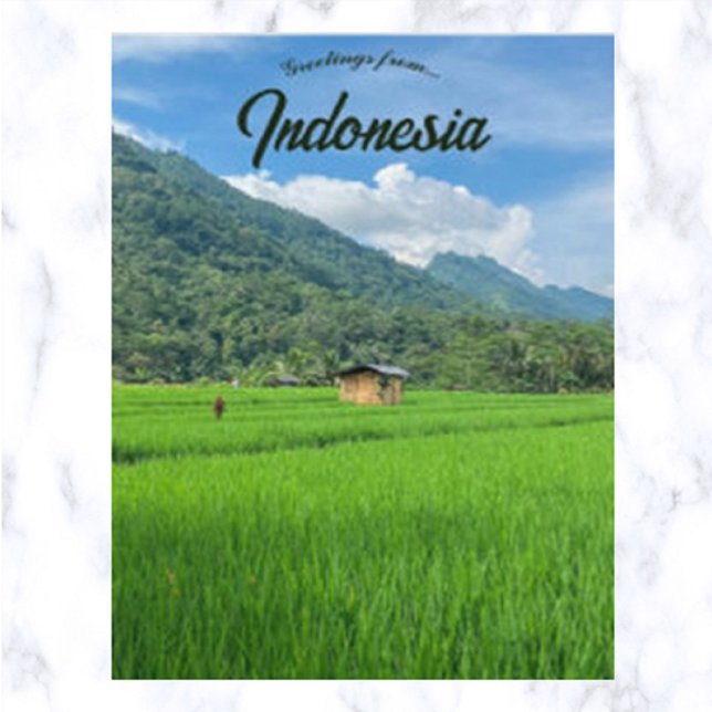 Cartão Postal Cabana de Bambu em um Campo de Arroz na Indonésia (Criador carregado)