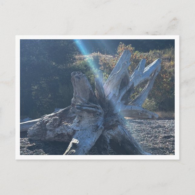 Cartão Postal Cabeça (Frente)