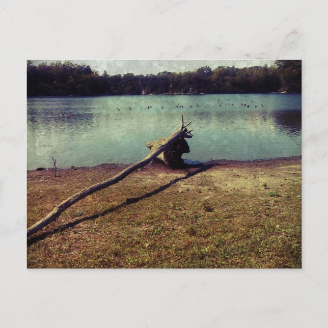 Cartão Postal Cabeça (Frente)