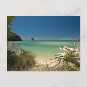 Cartão Postal Cabeça