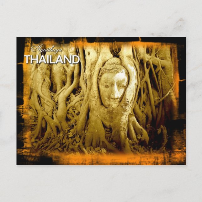 Cartão Postal Cabeça de Buda enredada em raízes de figo, Ayuttha (Frente)