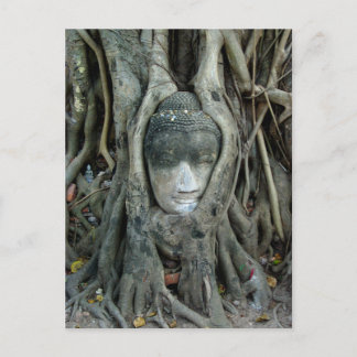 Cartão Postal Cabeça de Buddha