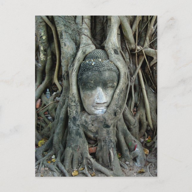 Cartão Postal Cabeça de Buddha (Frente)