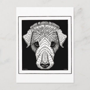 Cartão Postal Cabeça de Cães por Julie de Graag vintage lenha