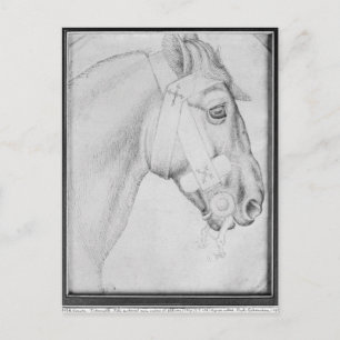 Cartão Postal Cabeça de cavalo, do Álbum Vallardi