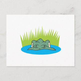 Cartão Postal cabeça de crocodilo na água