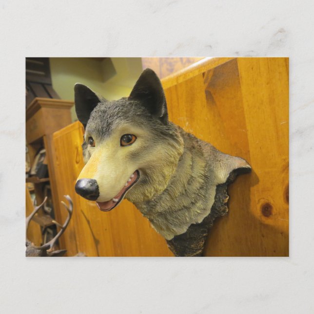 Cartão Postal Cabeça de Lobo Decorante (Frente)