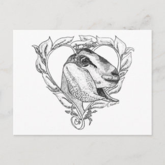 Cartão Postal Cabeça de Nubian no coração