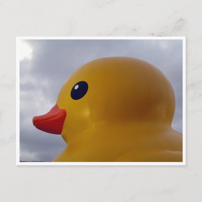 Cartão Postal cabeça de pato (Frente)