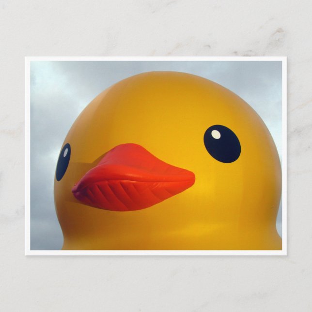 Cartão Postal cabeça de pato de borracha (Frente)