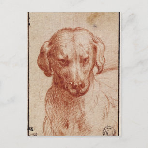 Cartão Postal Cabeça de um Cão