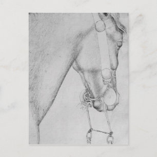 Cartão Postal Cabeça de um cavalo, o do álbum de Vallardi