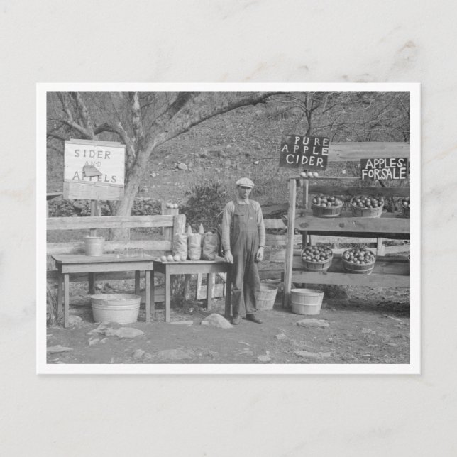 Cartão Postal Cabeça e Maçã (Frente)