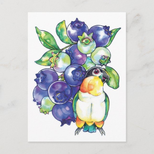 Cartão Postal Cabeça Negra Caique com Blueberry (Frente)