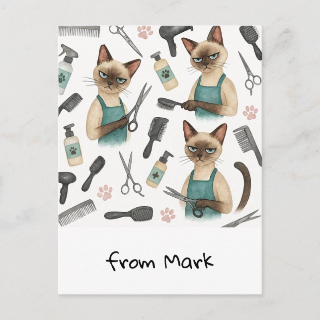 Cartão Postal Cabelereiro de Gatos  (Frente)
