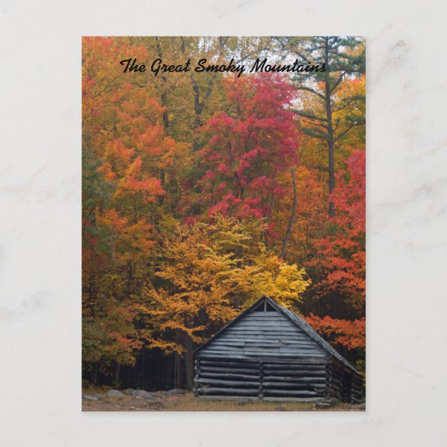 Cartão Postal Cabina no bosque (Frente)