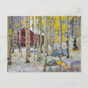 Cartão Postal Cabine solitária Grand Mesa numa floresta