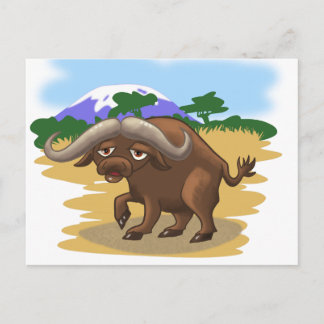 Cartão Postal Cabo Buffalo
