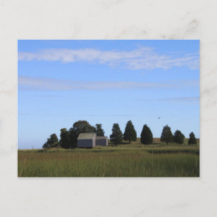 Cartão Postal Cabo Cod Salt Marsh