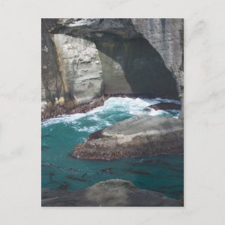 Cartão Postal Cabo Flattery Estado de Washington
