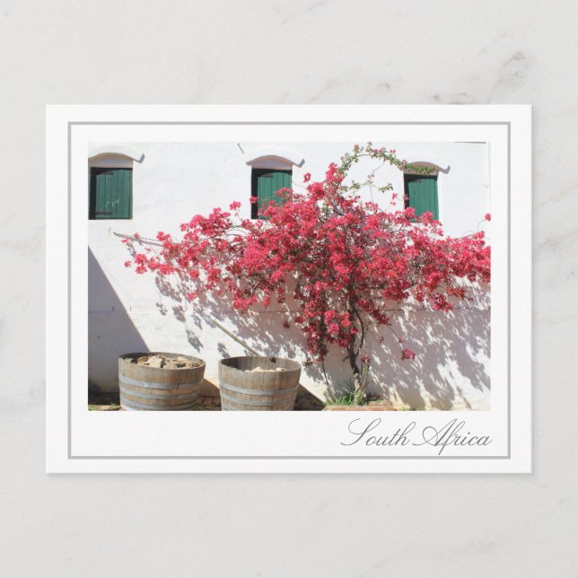 Cartão Postal Cabo Ocidental Edifício de Fazendas de Vinho (Frente)