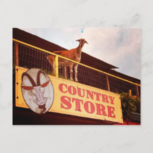 Cartão Postal cabra da loja rural no telhado