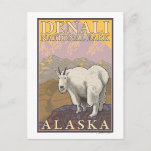 Cartão Postal Cabra de montanha - Parque Nacional Denali, Alasca