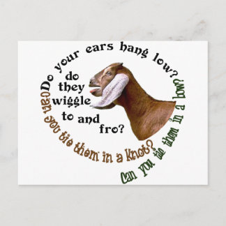 CARTÃO POSTAL CABRA DE NUBIAN - SUAS ORELHAS PENDURAM BAIXO?