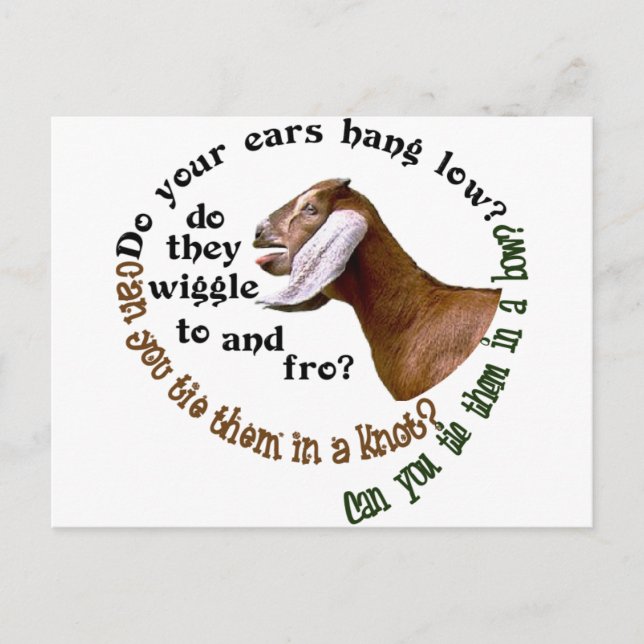 CARTÃO POSTAL CABRA DE NUBIAN - SUAS ORELHAS PENDURAM BAIXO? (Frente)