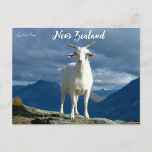 Cartão Postal Cabra em Queenstown Nova Zelândia